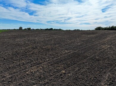 000 State Route E, Milo, MO 64767 - photo 4