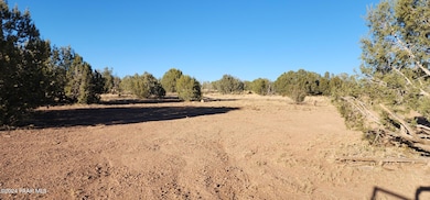 88-A Rose Ln, Ash Fork, AZ 86320 - photo 2