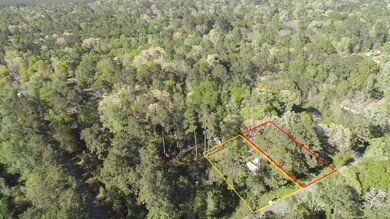 21629 Walker Dr, Conroe, TX 77306 - photo 7