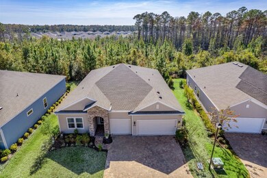 85253 River Birch Ct, Fernandina Beach, FL 32034 - photo 2