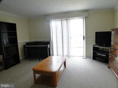 5946 Rowanberry Dr, Elkridge, MD 21075 - photo 5