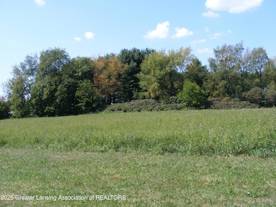 0 Marshall Rd, Charlotte, MI 48813 - photo 5