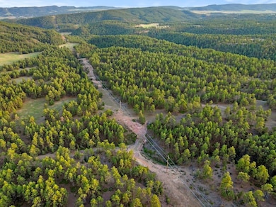 0 Tbd Argyle Rd unit LotWP001 23629719, Hot Springs, SD 57747 - photo 6