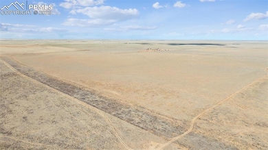 Drone / aerial view featuring a rural view