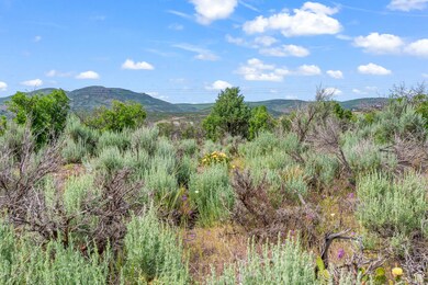 11 S Skyline View Dr E unit 2, Heber City, UT 84032 - photo 4