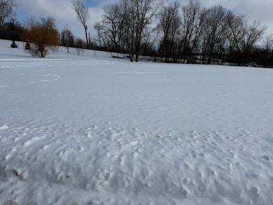 Open Lot Browers St E, Waterville, MN 56096 - photo 2