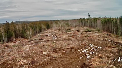 L1 Lively Brook Acres, Whiting, ME 04691 - photo 3