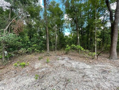 0 280th St unit GC508008, Branford, FL 32008 - photo 6