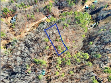 TBD Rockinghorse Trail unit Tract 2, Burnsville, NC 28714 - photo 7