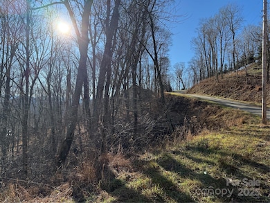 000 Trillium Ln unit 30, Mars Hill, NC 28754 - photo 4