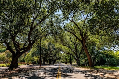 468 Long Shadow Dr, Aiken, SC 29803 - photo 5