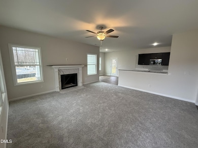 387 Bonsai Way, Four Oaks, NC 27524 - photo 3