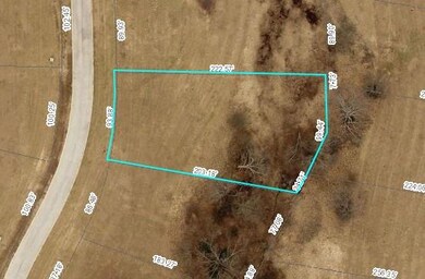 Lot 22 Pronghorn Dr, Gordonville, TX 76245 - photo 3
