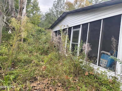 2611 Holmes Creek Rd, Vernon, FL 32462 - photo 3