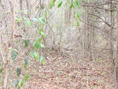 0 Hidden River Ln 50 Ac, Sparta, TN 38583 - photo 6