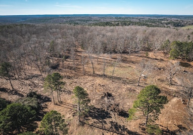 000 Deason Drive-Tract 2, Licking, MO 65542 - photo 3