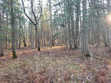 XXX Rapid River, Baudette, MN 56623 - photo 4