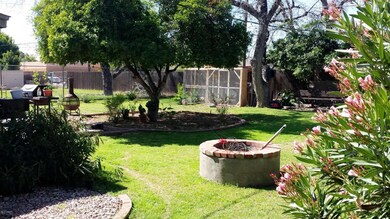 Big Back Yard