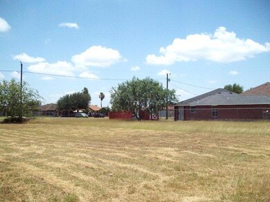 751 Monica St, Donna, TX 78537 - photo 6