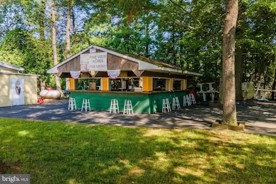 145 Chamberlaine Ave, Pottsville, PA 17901 - photo 6