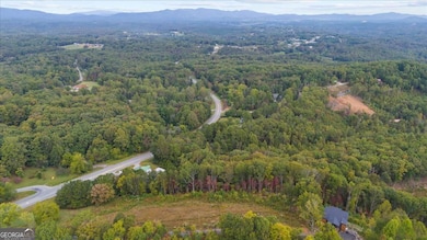 0 Horizon Ridge, Blue Ridge, GA 30513 - photo 4