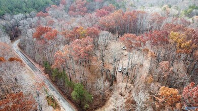 1 County Road 137, Cedar Bluff, AL 35959 - photo 3