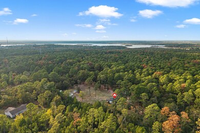 402 Pine Tree Loop, Bastrop, TX 78602 - photo 2