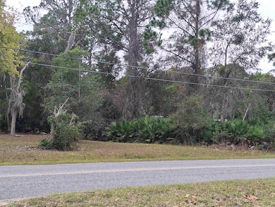 203 Crescent Lake Shore Dr, Crescent City, FL 32112 - photo 4