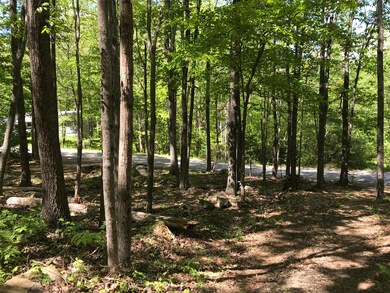 Lot 7 Tilbury Park, Gardiner, ME 04345 - photo 3