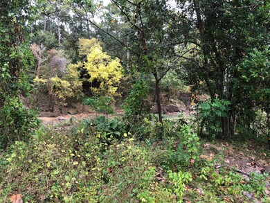 10102 Briar Dr, Houston, TX 77042 - photo 6