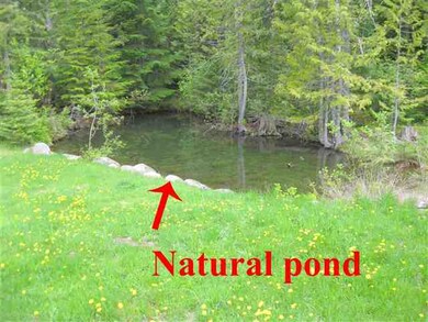 20 Larsen Ranch Ln, Sandpoint, ID 83864 - photo 6