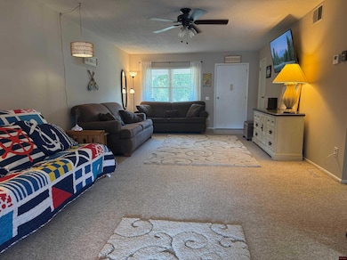 3833 Hwy 178 W unit 35, Lakeview, AR 72642 - photo 4