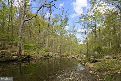 4106 Faith Ct, Alexandria, VA 22311 - photo 4