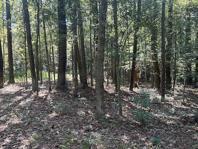 Cutrer Dr unit LotWP001, Osyka, MS 39657 - photo 7