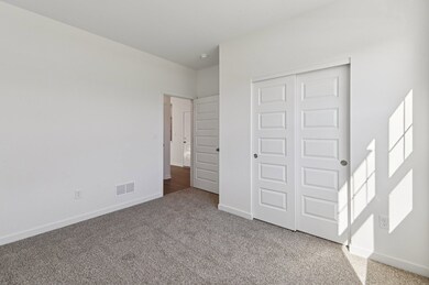 829 Mesa Ln, Pingree Grove, IL 60140 - photo 6