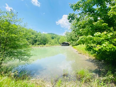 88 Mae Gumm Rd, Tyner, KY 40486 - photo 2