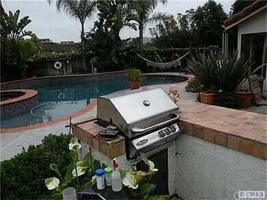 Pool and built in BBQ