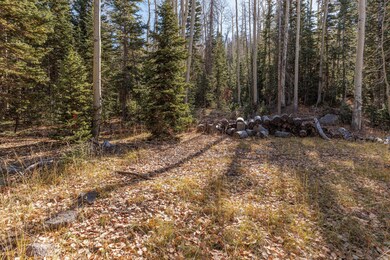 214 East Deer Trail C147 Brain Head UT 8