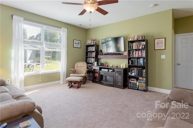 78 Bear Creek Hills Dr, Leicester, NC 28748 - photo 3