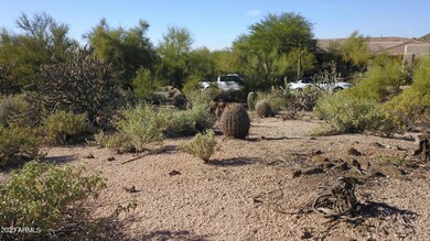 CinderCone Lot Pic1