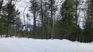 27A-8B Wild Haven Rd, Bridgton, ME 04009 - photo 4