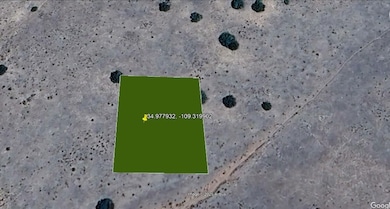 Apache unit AZ, Saint Johns, AZ 85936 - photo 4