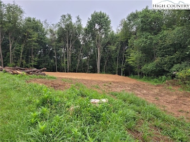 Lot 26 Fox Run Ln unit 26, Sparta, NC 28675 - photo 2