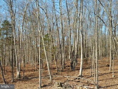 LOT 32 Comforter Ln, North River, VA 22645 - photo 6