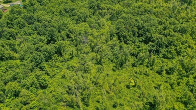 0 Harbor View Dr unit 222035754, Thornville, OH 43076 - photo 4