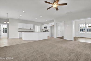 719 Puppy Drum Ln, Maysville, NC 28555 - photo 7