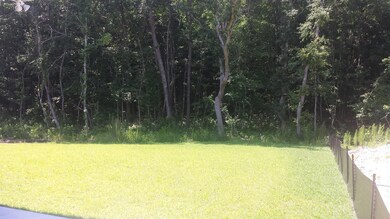 View from screened porch and patio
