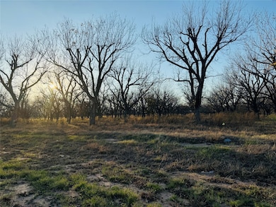 2519 Buckskin Dr, Granbury, TX 76049 - photo 3