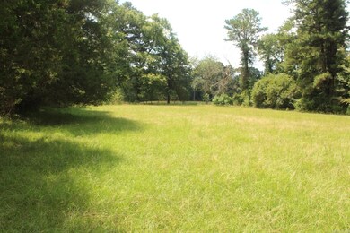 437 Billstown Rd, Delight, AR 71940 - photo 3