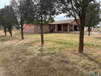 1011 Painted Pony Ln, Artesia, NM 88210 - photo 4